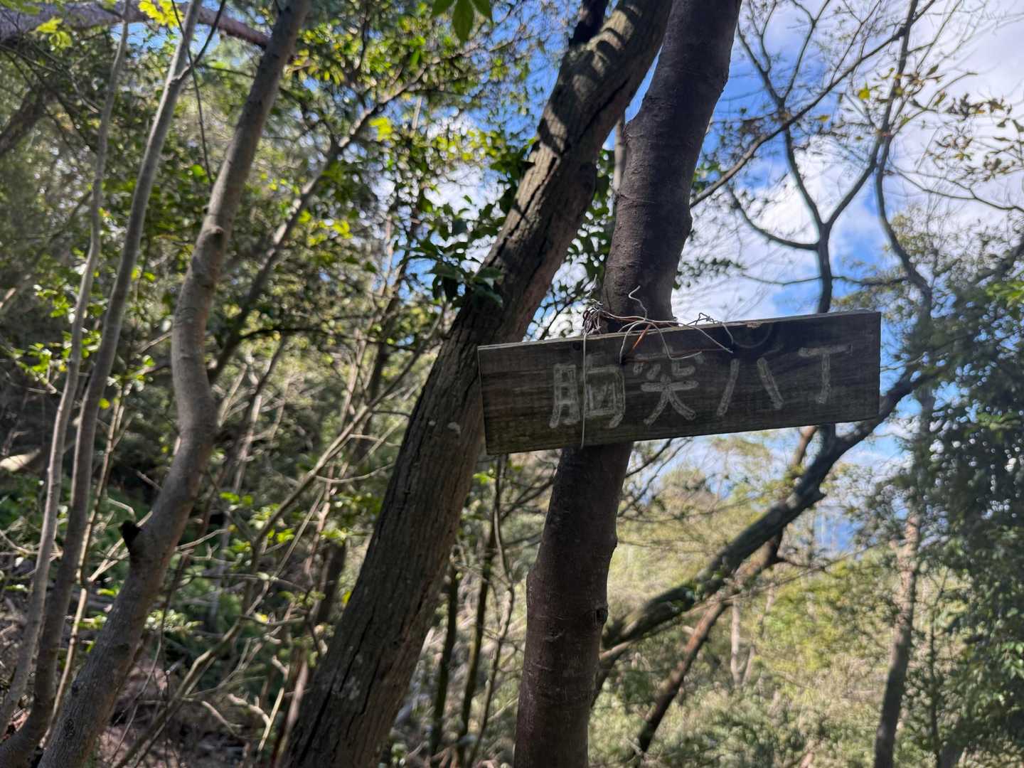 誰もいないし、スズメバチが寄って来たので下山します！

先日しばいぬ先生に教えていただいたことを思い出し、実践しながら下山。

ところでこの「胸突八丁」ってどういう意味？