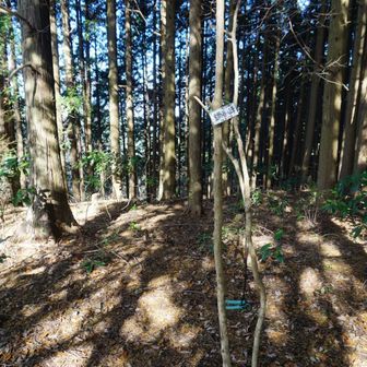 鍋谷ノ峰でお昼