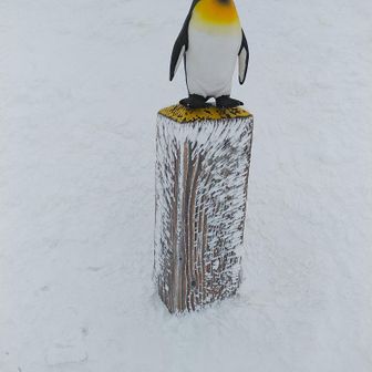 🐧

堪らず駆け込んだ肩の小屋で2時間近く天候の回復を待っている間に西黒尾根からの後続登山者がちらほら登ってきていました。小屋泊だった方3名も停滞中(それぞれ計画を伺うと猛者揃いでした)。
※肩の小屋到着が8:36となっていますがこれはスマホを再起動した時刻で、実際には8時頃から昼食弁当を食べたりしていました。