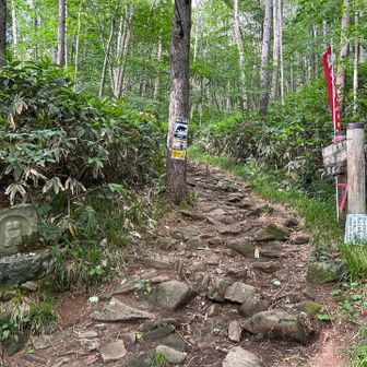 群馬県の平標山の家から登山道を降りてきました。
新潟県の標識、熊に注意の表示⚠️、道祖神

ここから平元新道を歩きます。
