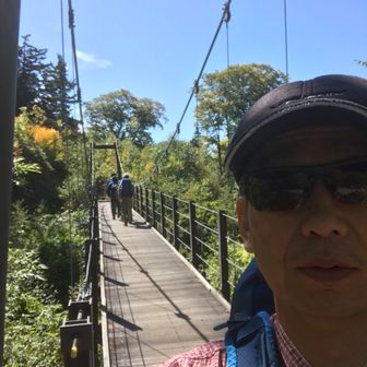 ブレードランナーⅡ