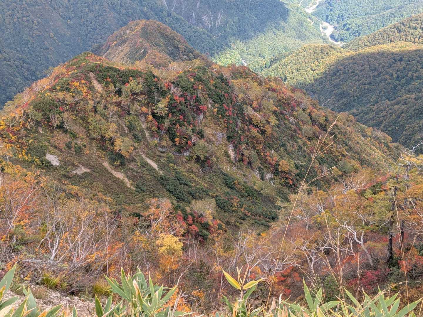 ❤️がポツポツと可愛いんです🍁🍁🍁🍁