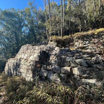 さすが城跡の登山道！野面積み？