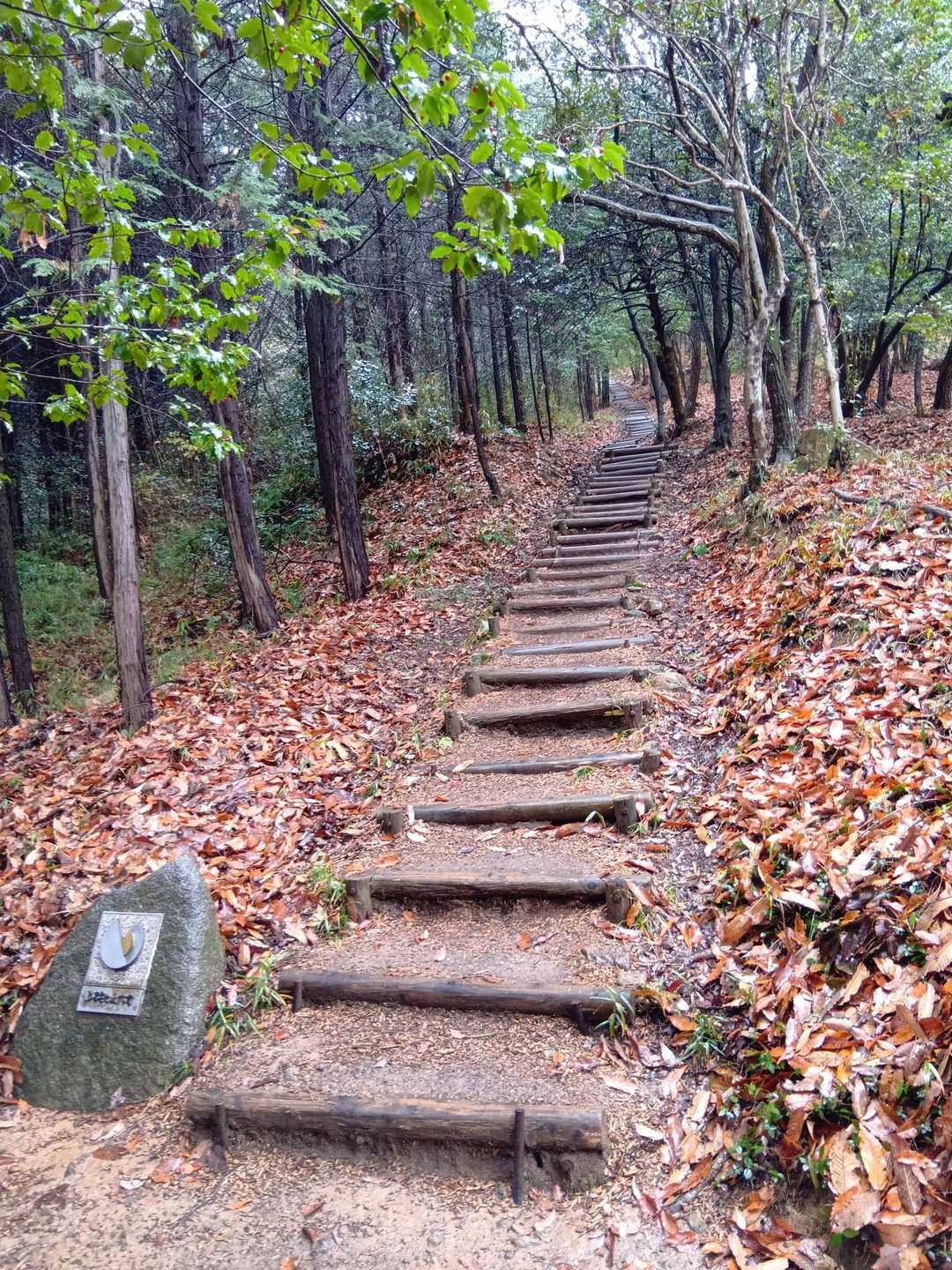 階段を登ります。1234段の151段地点。