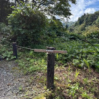 落とし物置き場
これは良い