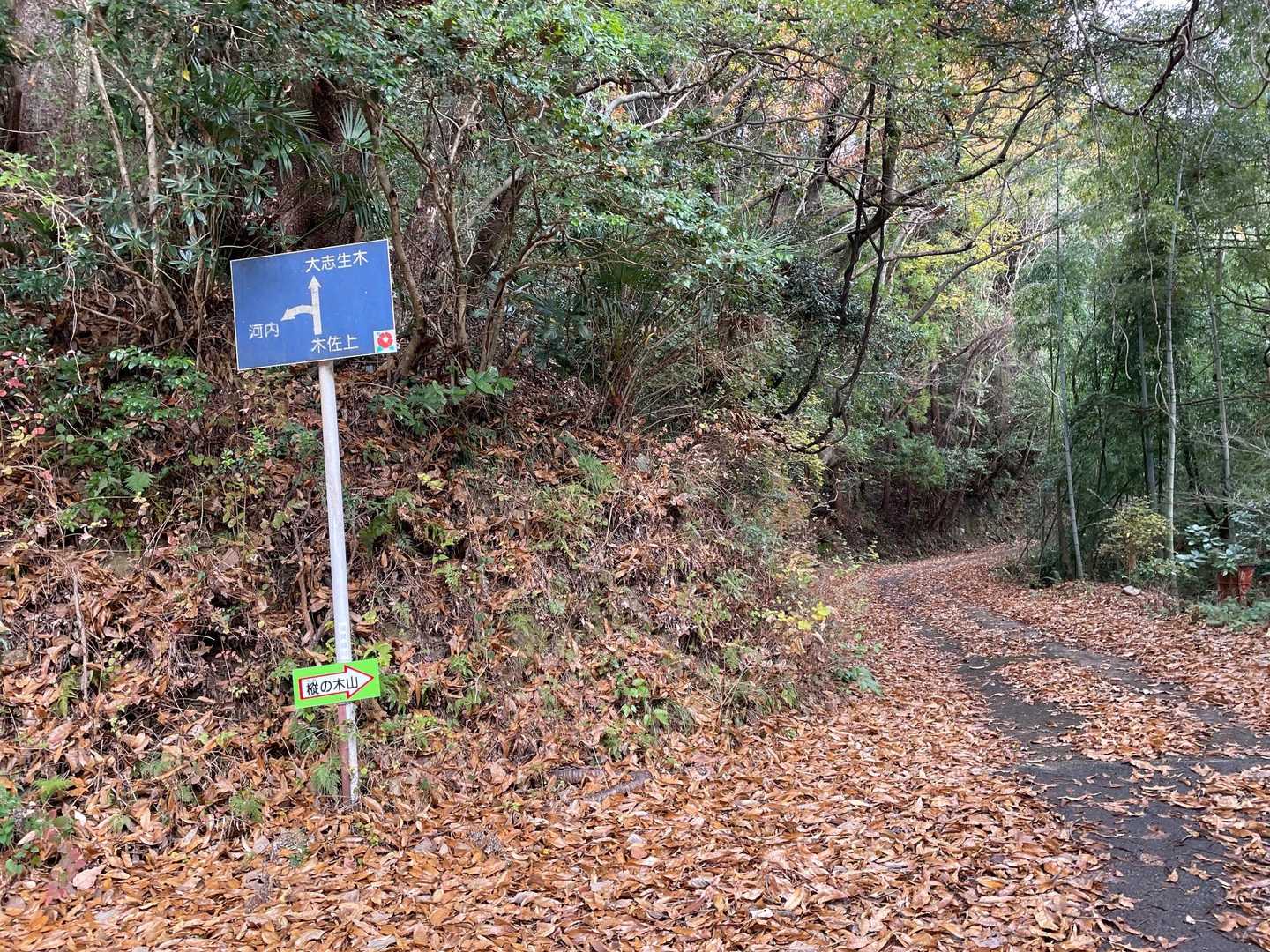 しっかり案内看板があるので迷う事はありません。