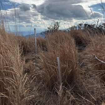 南平台山頂　山頂標識は失せてました