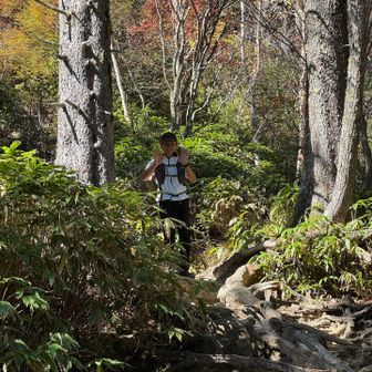 師匠は、燕岳のピーク取りに
私たちは疲れてるから、燕岳のピークは取らずに下山
第3ベンチで追いつかれる💦