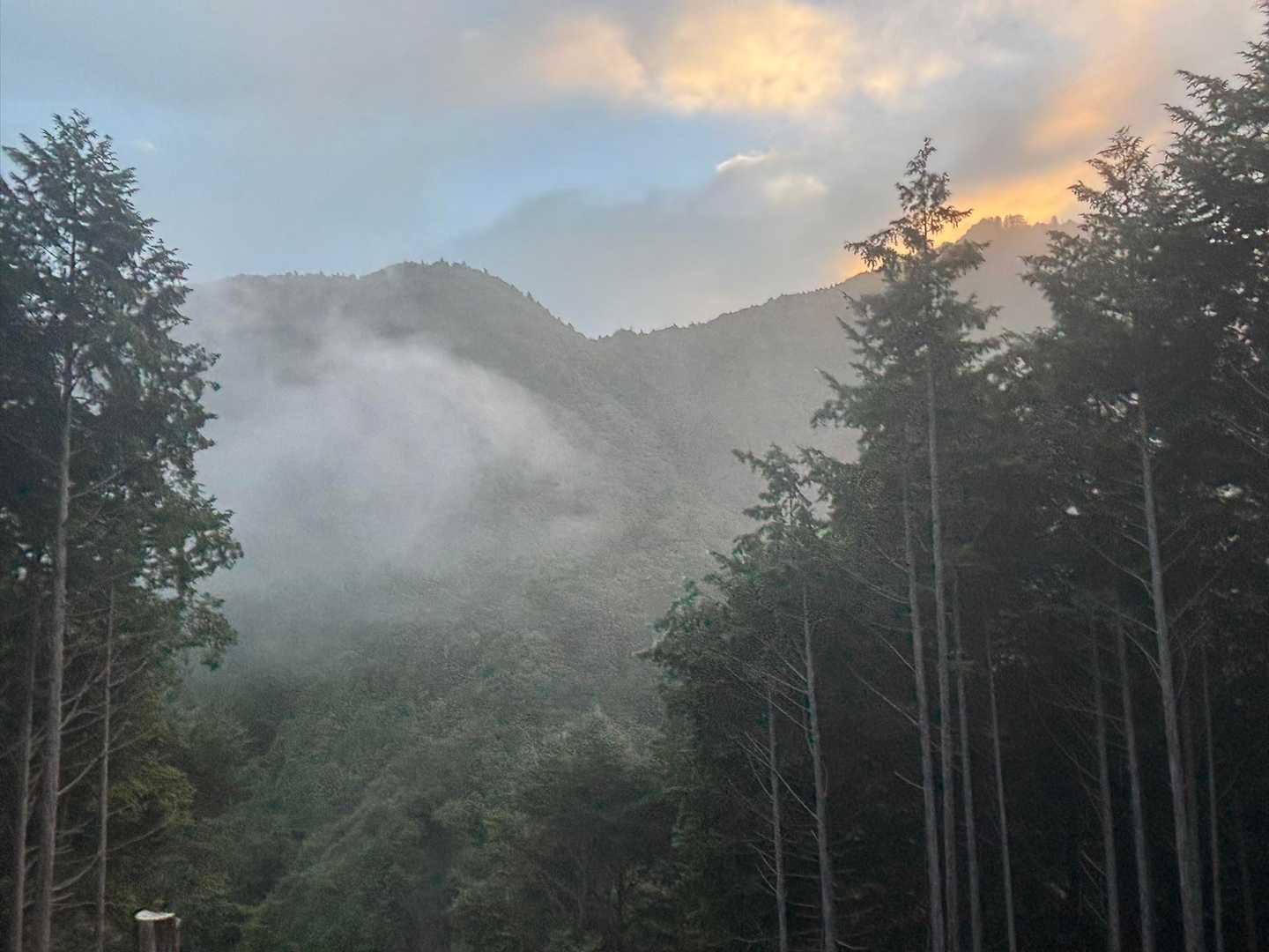 甲州高尾山 | 大滝不動尊から辿る、緑の静寂を味わうコースの写真