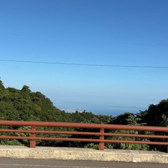 日本海見えたー