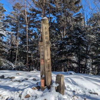 ビューポイントから樹林帯をへて大菩薩嶺山頂到着！🙌
もう顔が冷たくて手足も冷えて🥶身の危険を感じましたよ😱
スマホも音量のアイコンが連続で出てしまうバグも発生😂勝手にシャットダウンも一度しました😨
これが氷点下の洗礼ですね🥶