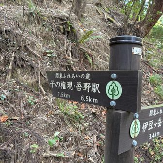 ここから子の権現まで近くまで急登が続きました！
