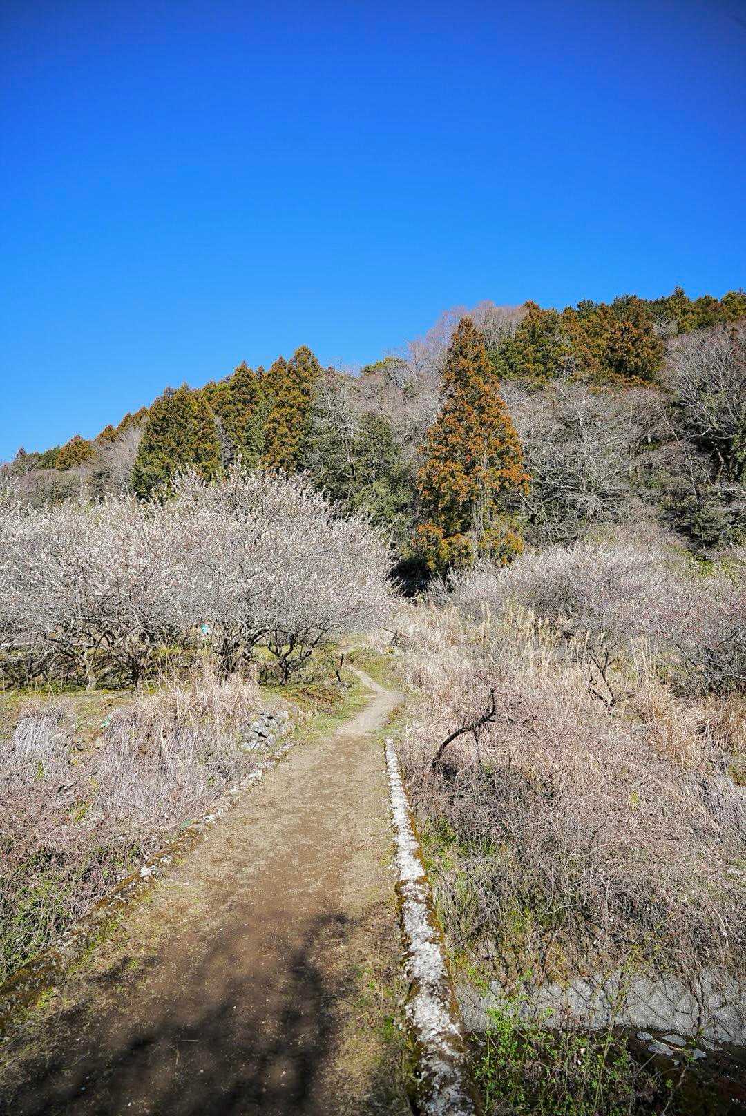 地蔵堂バス停-清水越-矢倉岳 往復コースの写真