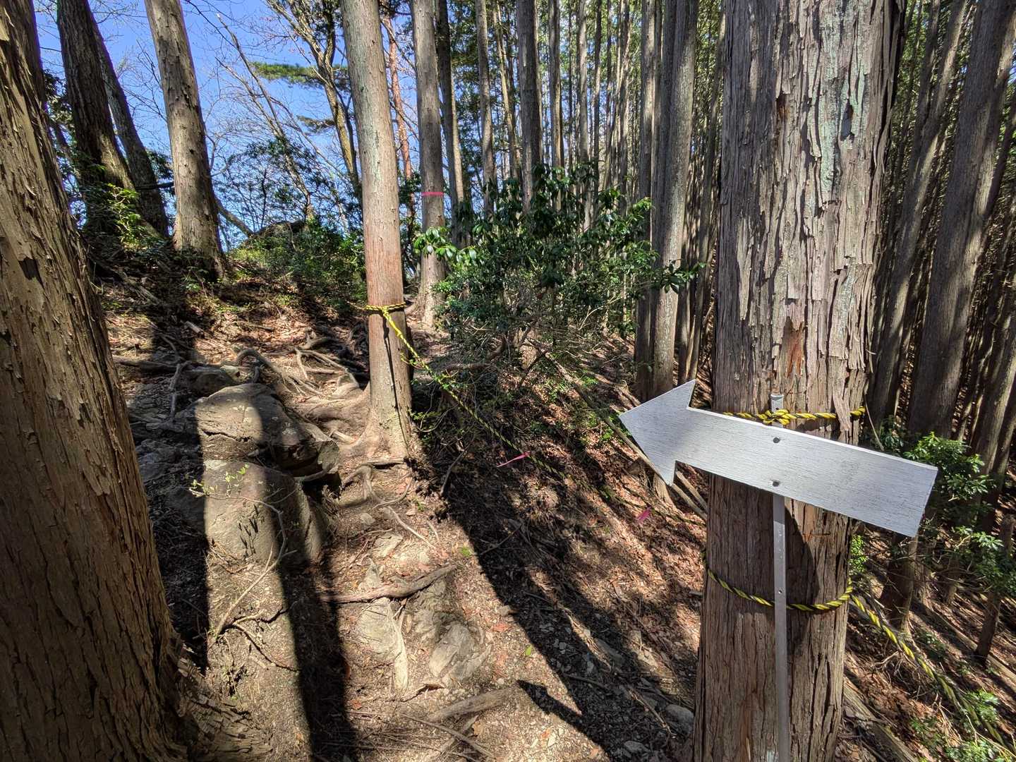 緩やかな尾根道には