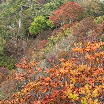 その先の展望所から📷
ちょっといい感じ🍁