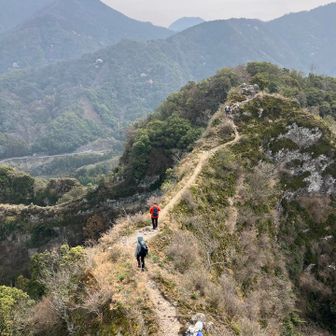 だいぶほっそい馬の背