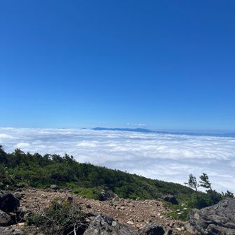 雲海の向こうは吾妻連峰
