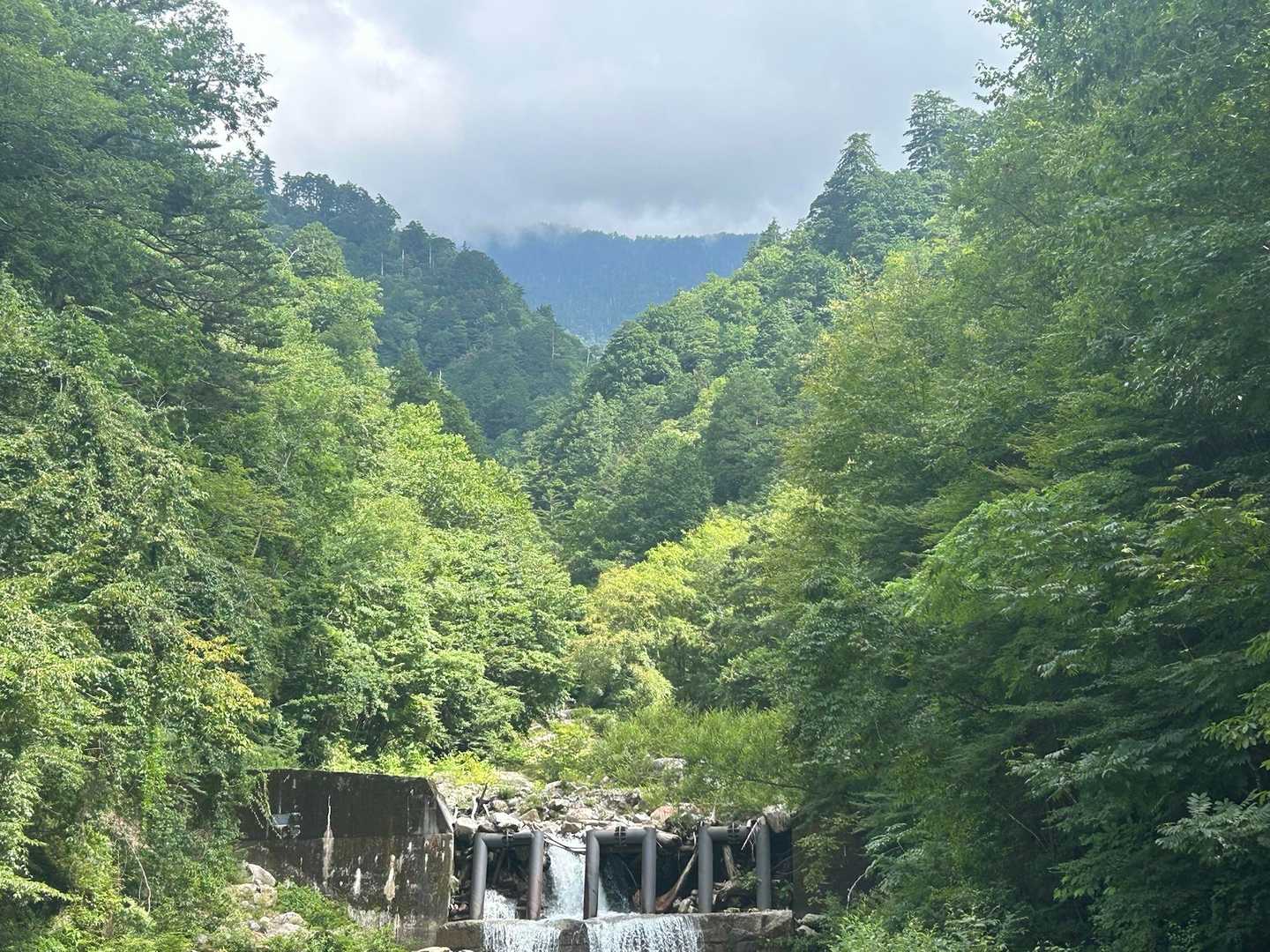 山の上には雲がかかってます☁️
この後、新東名でゲリラ豪雨に降られて大変でした💦