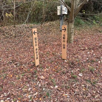 交野山へ向かいます