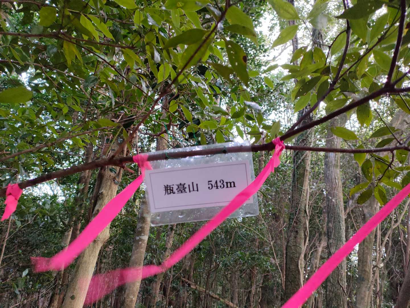 瓶臺山の写真