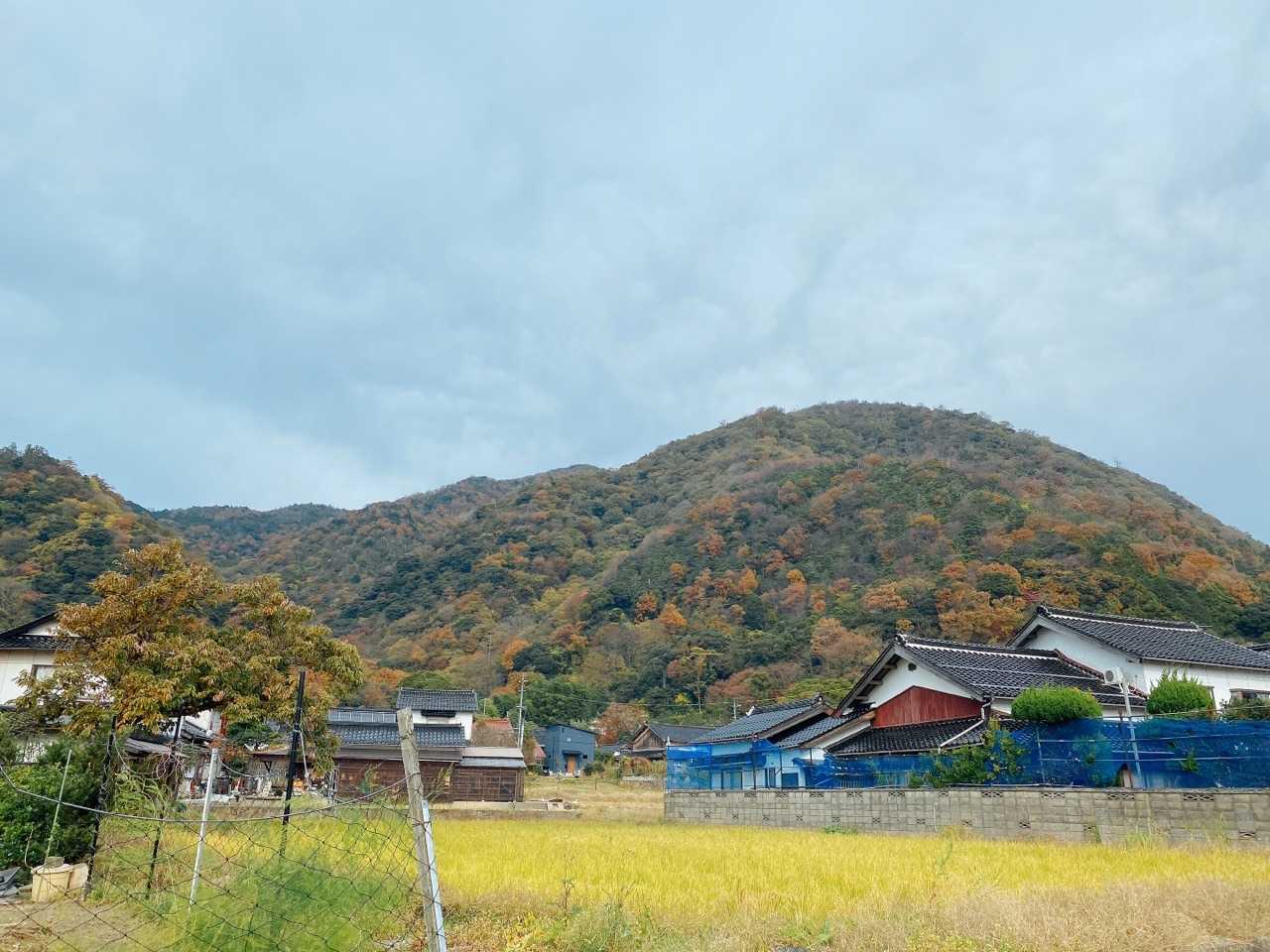 無事下山です〜
今日もいい山をありがとう☺️
紅葉が最高だよー🍁