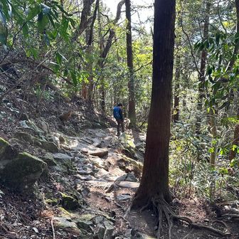 お！意外と膝の痛みが少なく軽快💪