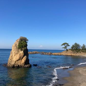 相模湾に出たら海沿いをウォーキング