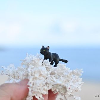 うずまき ふうこ