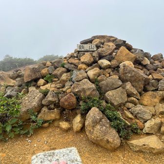 鉄山につく頃にはまたガスって何も見えませんでした。