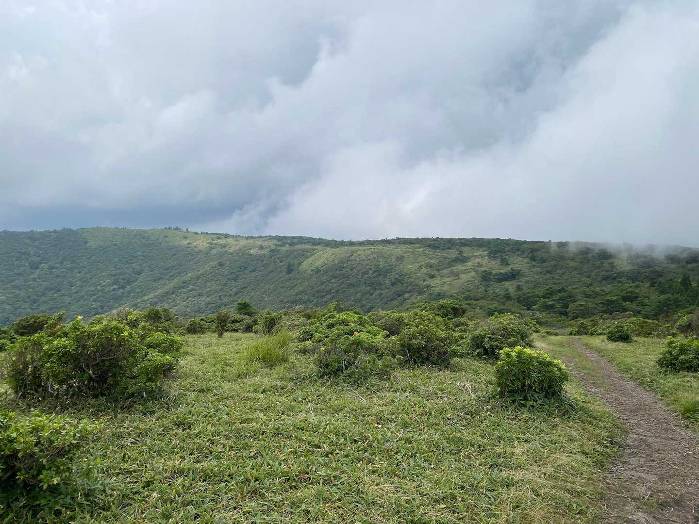 千町峠-段ヶ峰-フトウガ峰 往復コースの写真