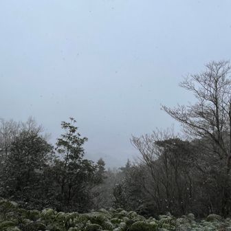 大応山山頂からの景色😑見えない🌨️