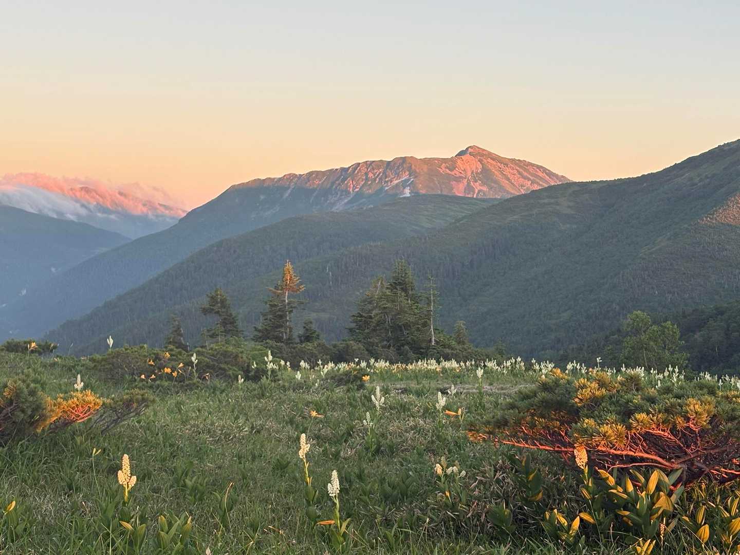薬師岳登山口-北ノ俣岳-赤木岳-中俣乗越-黒部五郎岳 往復コースの写真
