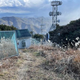 仕方なく下山します。最近のレポで元気だったから大丈夫だろう