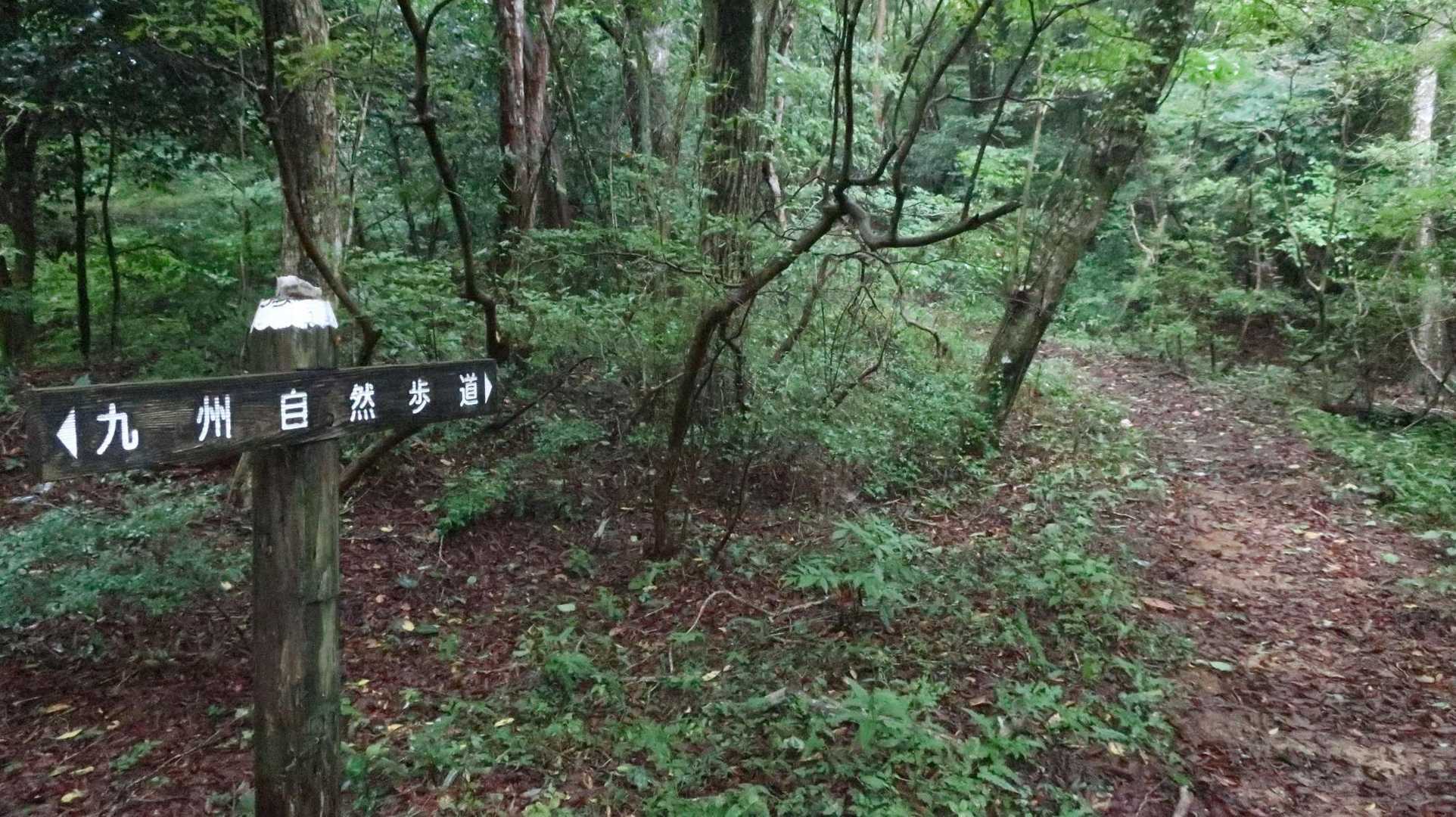 七曲峠-三国峠-九千部山 往復コースの写真
