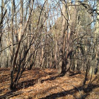 頂上直下、日当たりの良いところで、コーヒーブレイク。
