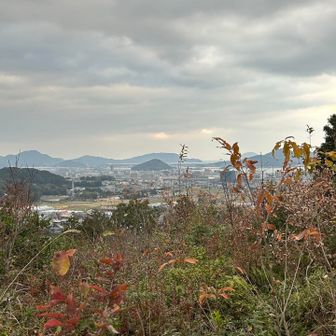 糸島方面の景色