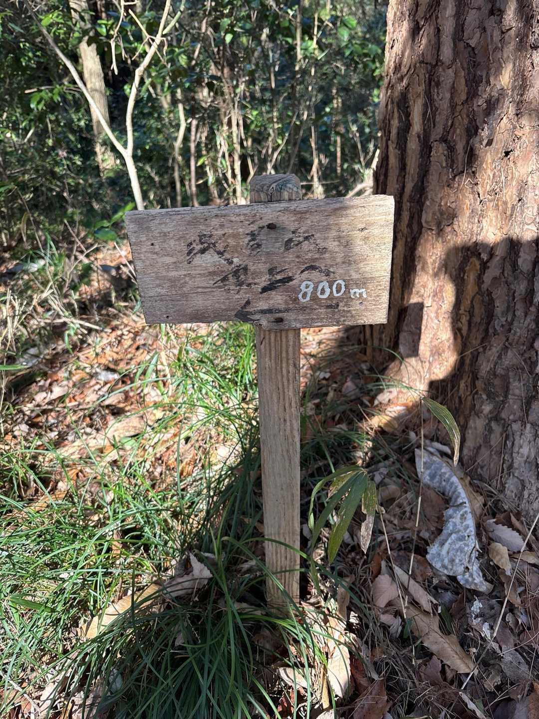 朝房山まであと800m