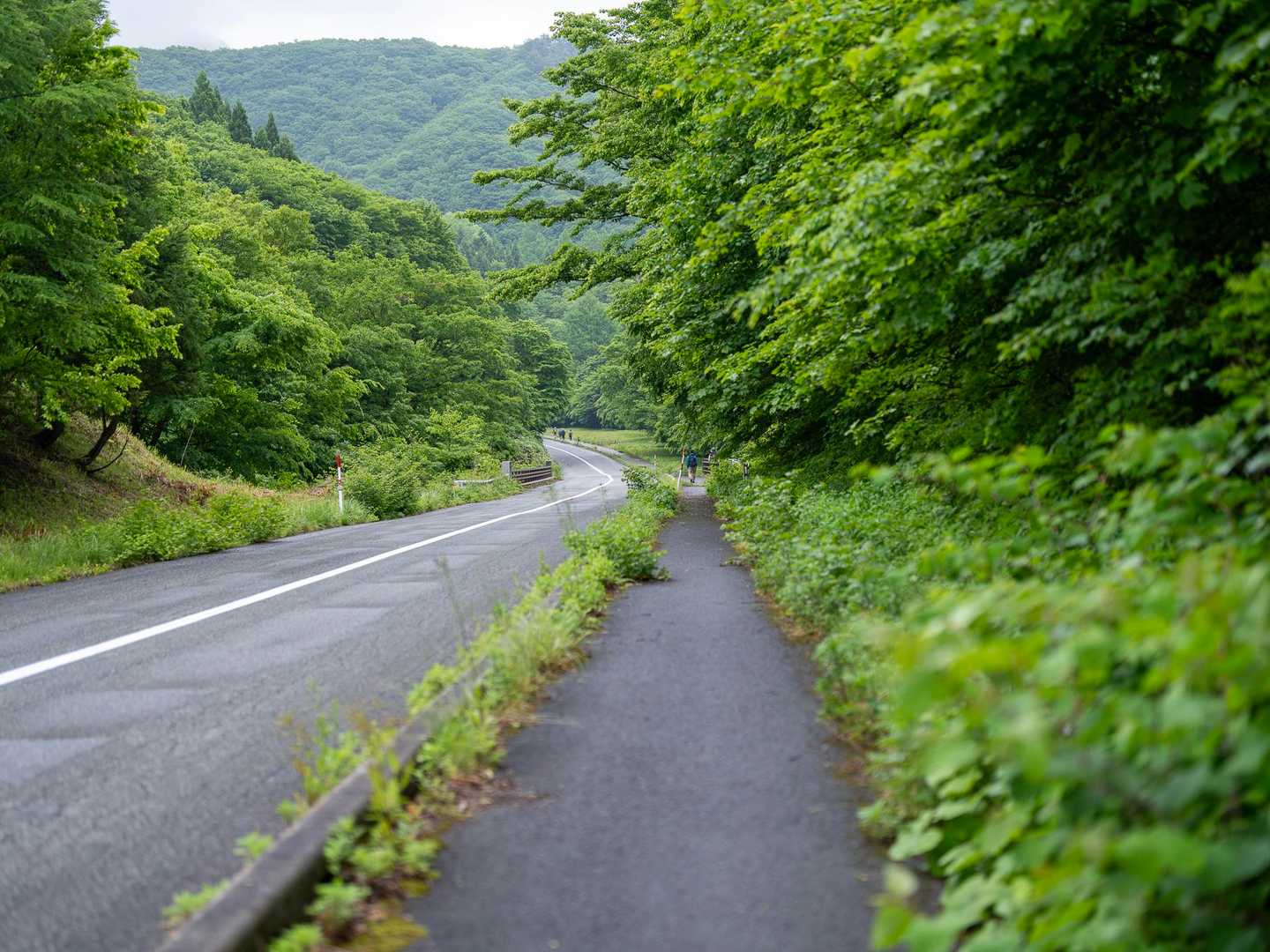 晴れ予報だったはずなのに。まだ降り足りなそうな空。