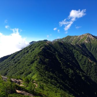 大天荘岳を望む