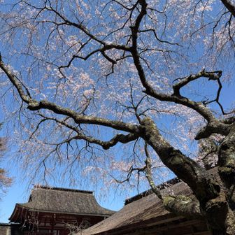 吉野水分神社⛩️