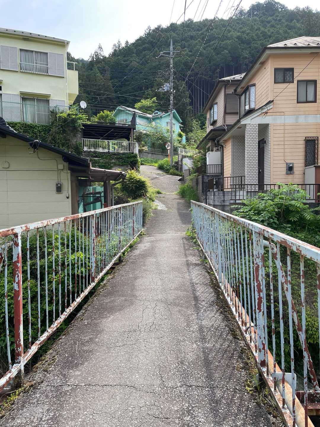 小川を渡り、その先へ進みます