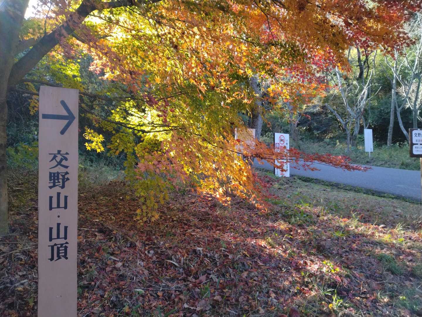 国見山登り口-交野山登り口-交野山 往復コースの写真