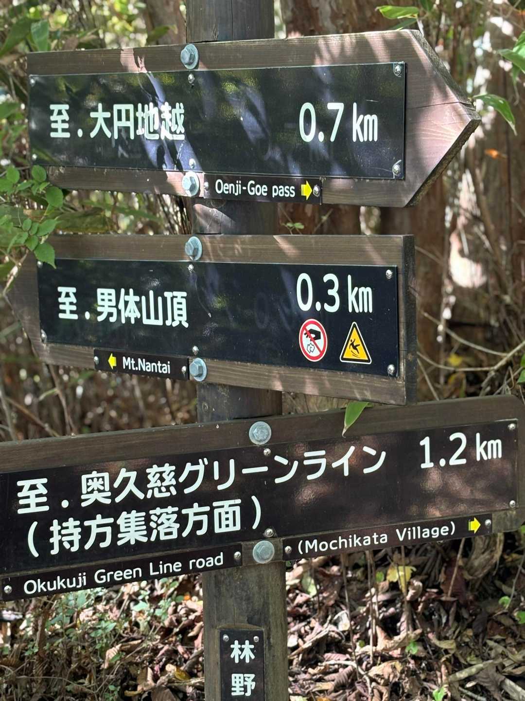 分岐