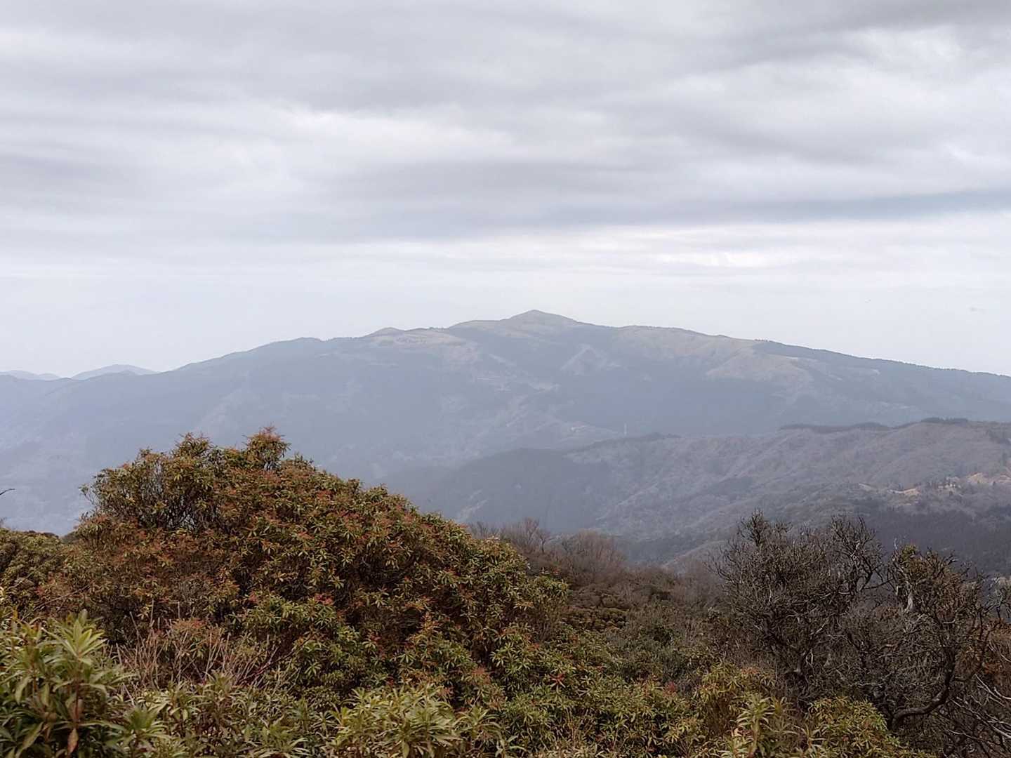達磨山