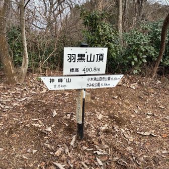 ここで折り返し