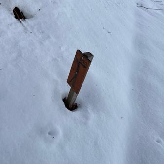 名もなき登山口なよう