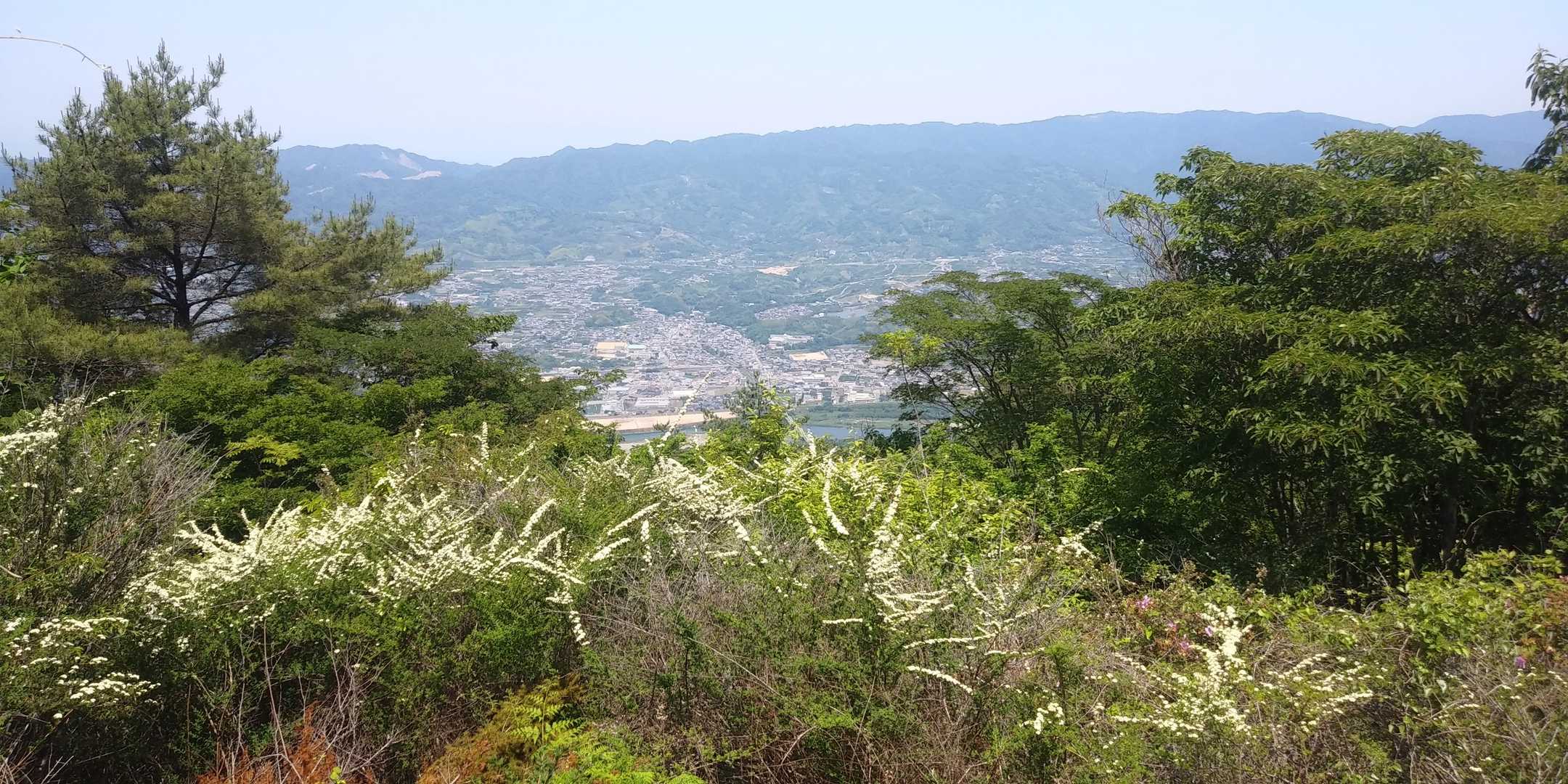 田代コース登山口-田代峠-龍門山-中央コース登山口 周回コースの写真