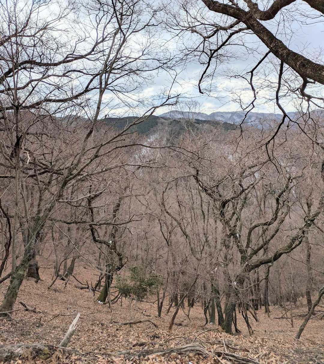妙見山-大堂越-黒川駅 周回コースの写真