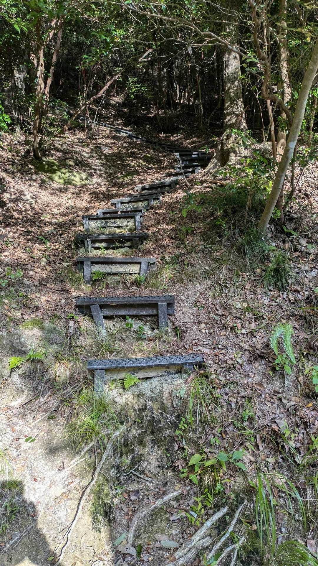いよいよ〜宝満山⛰️
何故か？ドキドキ🤗