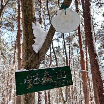 こんな貝殻去年あったっけ？